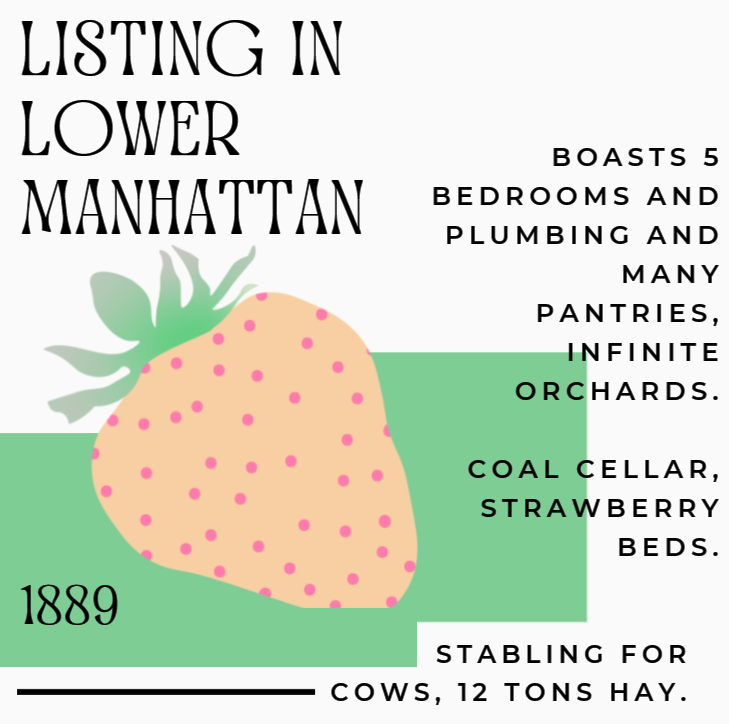 Listing in Lower Manhattan, 1889